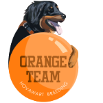 Orange Team